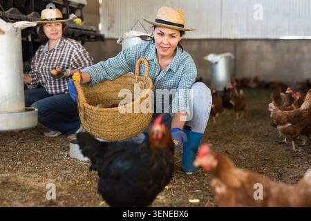 Donna kazaka nutre galline ovaiole Foto Stock
