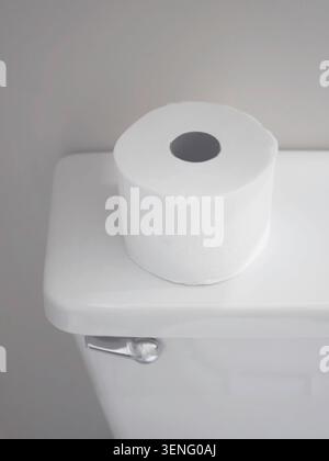 Un rotolo di carta igienica sul serbatoio del bagno. Foto verticale. Foto Stock