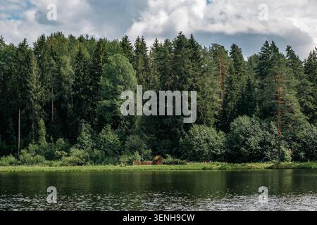 Vista del bellissimo paesaggio forestale del lago nel parco nazionale di valdai, Russia. Foto Stock