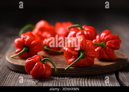 Ammasso di peperoni habanero rossi su tavola di legno con messa a fuoco morbida. Cialde di peperoncino fresco con cibo naturale Foto Stock