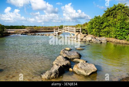 Il ponte panoramico in legno a Pont de Anse, prugne a Sainte Anne, Martinica, circondato da rocce, lussureggianti mangrovie verdi e cielo blu. Sentiero escursionistico per la savana delle Petrificazioni. Francia caraibica Foto Stock