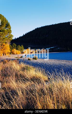 Un tranquillo paesaggio autunnale caratterizzato da un lago, erba dorata, vibranti alberi autunnali e una montagna boscosa sotto la luce dorata delle ore. Foto Stock