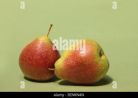 Pera, tipo di "trota" su sfondo verde Foto Stock