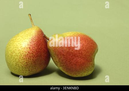 Pera, tipo di "trota" su sfondo verde Foto Stock