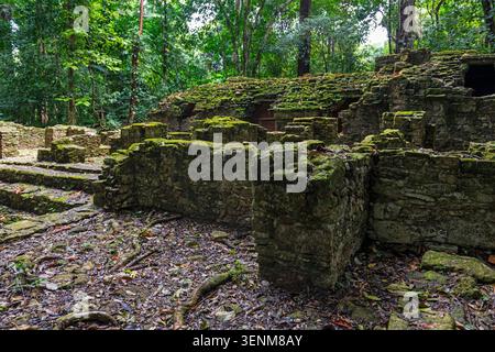 Rovine maya del gruppo BAT nella giungla del Chiapas, Palenque, Messico. Foto Stock