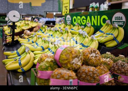 Lexington Kentucky USA 16 marzo 2026 banane biologiche e ananas nella sezione prodotti alimentari Foto Stock