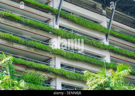 I giardini verticali impreziosiscono un edificio contemporaneo in una vivace città. La luce del sole mette in risalto le lussureggianti piante verdi che crescono lungo la struttura, creando un Foto Stock