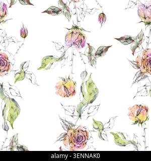 Fiori di rosa del tè, gemme su steli spinosi e rami frondosi. Disegno a matita botanica disegnato a mano e lavaggi ad acquerello sciolti. Motivo floreale senza cuciture Foto Stock