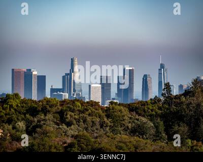 Skyline del centro di Los Angeles con il Wilshire Grand Center e verdi colline in primo piano, California, Stati Uniti. Foschia tipica di LOS ANGELES. Foto Stock