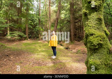 Giovane donna che esplora la foresta verde indossando una giacca impermeabile gialla Foto Stock
