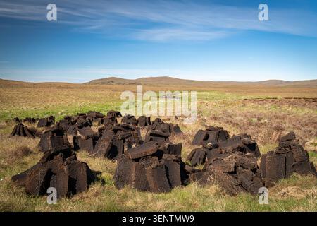 Un'immagine calda e soleggiata del paesaggio HDR di una torba appena scavata che si asciuga durante il sole estivo a Strathnaver, Sutherland, Scozia. 27 maggio 2026 Foto Stock