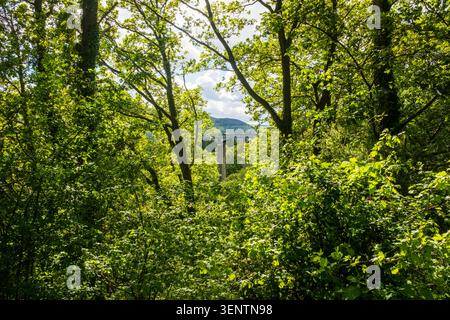 Vista dell'aquaduct Pontcysyllte che trasporta il canale Llangollen in Galles, Regno Unito Foto Stock