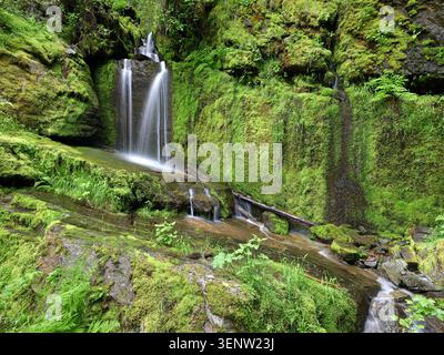 Una piccola cascata scende dalle rocce in una lussureggiante area forestale lungo il Moon Pass nell'Idaho settentrionale. Foto Stock