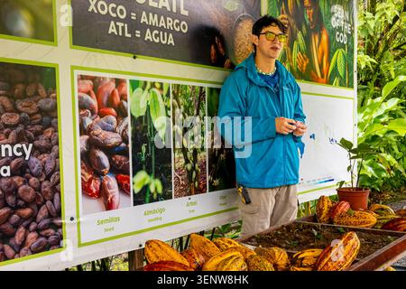 La guida spiega la coltivazione del cacao e la produzione di cioccolato durante un tour a North Fields a La Fortuna, Costa Rica. Foto Stock