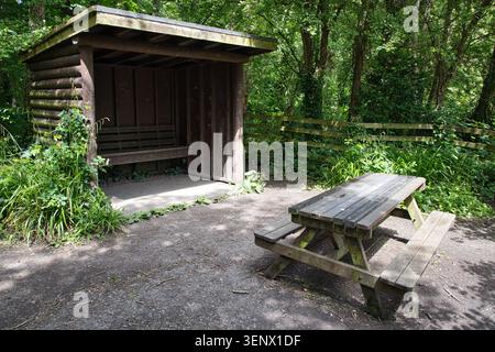 Una panchina da picnic in legno e un rifugio in legno in una lussureggiante radura del bosco al Penrhos Coastal Park, Isola di Anglesey, Galles del Nord. Foto Stock