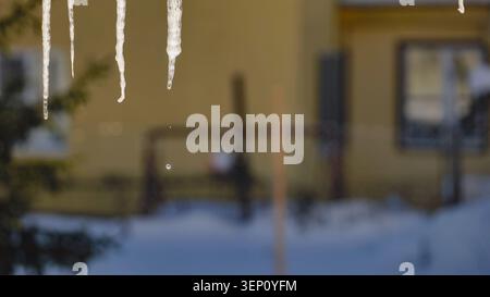 Ghiaccio che si scioglie in inverno duro all'aperto, gocciolamento d'acqua dal tetto della casa ghiacciata Foto Stock