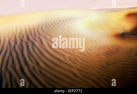 Una vista sopraelevata della sabbia dorata in un deserto ondulato che mostra intricate increspature scolpite dal vento e texture astratte. Foto Stock