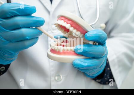 Dentatura, dentista che tiene il modello dentale dei denti per studiare e trattare in ospedale. Foto Stock