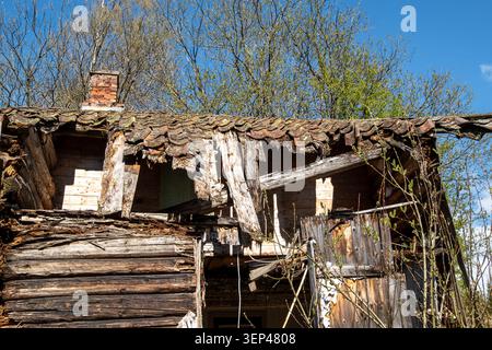 Tetto crollante e pareti in legno intemperie su una casa rurale abbandonata che mostra decadimento, negligenza e il passare del tempo Foto Stock