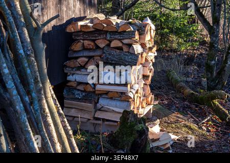 Pila di legna da ardere spaccata ordinatamente impilata su un pallet di legno accanto a un capannone in un ambiente rurale boschivo. Riscaldamento sostenibile e stoccaggio invernale del carburante Foto Stock