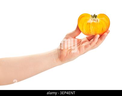 Fette di pomodoro in mano il percorso isolato su bianco Foto Stock