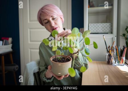 Donna matura giardiniere a casa che controlla in vaso il fogliame vegetale Pilea peperomioides. Hobby verde. Foto Stock