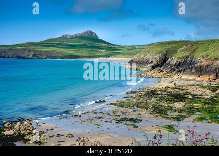 Whitesands Bay e la vetta di Carn Llidi, vicino a St. David's sul Pembrokeshire Coast Path, Pembrokeshire, Galles, Regno Unito. Foto Stock
