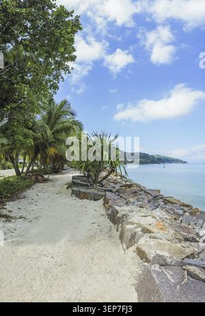 Seychellen - Isola di Mahe, Spiaggia di Grand Anse Foto Stock