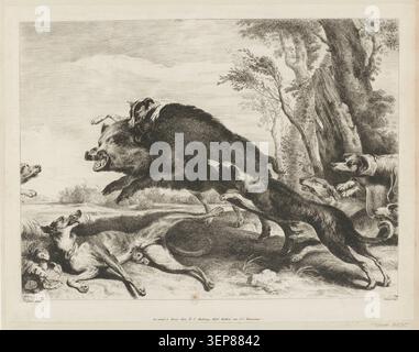 L'incisione di Dominique-Vivant Denon raffigura una scena di caccia in cui un cinghiale viene attaccato da cani in inseguimento violento, un cane caduto a sinistra, reso con linee incise dinamiche che enfatizzano il movimento, la lotta e l'intensità del terreno boscoso. Foto Stock