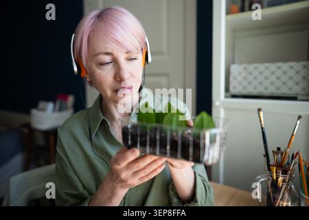 Donna matura amante delle piante che ama l'hobby del giardino interno, contiene una scatola con piantine di Zamioculcas in crescita Foto Stock