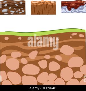Illustrazioni dettagliate delle sezioni trasversali di vari strati di terreno, mostrando il suolo, il sottosuolo, le rocce, le radici e le consistenze rocciose in stile vettoriale per la geologia Illustrazione Vettoriale
