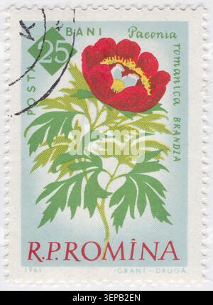 ROMANIA - 1961 settembre 15: 25 divieto francobollo multicolore raffigurante dettagliata illustrazione botanica di Paeonia Romanica Brandza, comunemente nota come la Peonia rumena. Questa specie specifica di piante da campo perenni è originaria delle regioni sud-orientali dell'Europa e ha un profondo significato ecologico e culturale in Romania, dove cresce nelle riserve forestali. Il grafico raffigura chiaramente le caratteristiche anatomiche della pianta selvatica, mostrando il suo grande fiore rosso cremisi con prominenti stami gialli al centro. Dedicato al centenario del Giardino Botanico di Bucarest Foto Stock