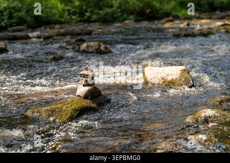 L'acqua limpida scorre intorno alle pietre ricoperte di muschio in un ruscello poco profondo, con increspature illuminate dal sole e sfondo verde boscoso che creano una tranquilla scena naturale Foto Stock