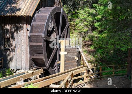 La grande ruota d'acqua in legno si erge accanto a un edificio in legno intempato con tetto ondulato circondato da fitti alberi verdi, stretto sentiero con luce del giorno brillante Foto Stock