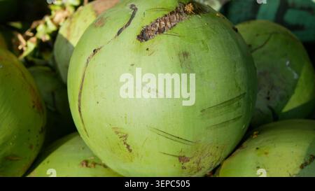 Dettagli di noci di cocco circolari verdi Cocos nucifera noce di cocco palma verde fresca palma verde dolce polpa bianca climi tropicali cibo e acqua dissetante Foto Stock
