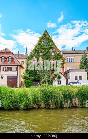 Casa tradizionale in stile mezza legno ricoperta di edera sul lungofiume nel quartiere Klein Venedig di Bamberga, Baviera, Germania, da cui è stata fotografata Foto Stock