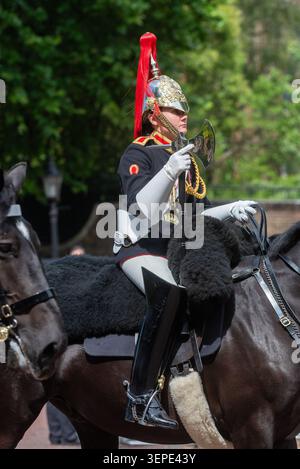 Soldato farrier femminile dei Blues e Royals of the Household Cavalry a cavallo a Trooping the Colour 2026, nel Mall, Londra, Regno Unito. Foto Stock