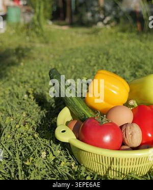 Cestino ripieno di verdure biologiche appena raccolte, tra cui pomodori, peperoni e cetrioli, oltre a uova e noci, a simboleggiare la salute Foto Stock