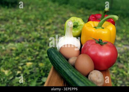 Verdure biologiche appena raccolte, tra cui peperoni, pomodoro, cetrioli e aglio, oltre a uova e noci, che riposano nuovamente su una superficie di legno Foto Stock