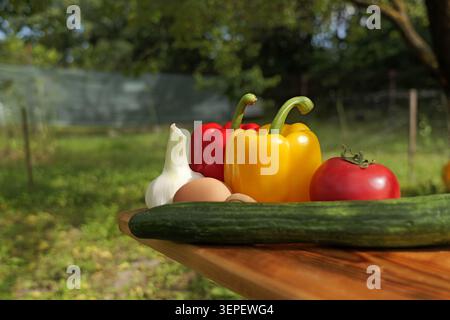 Le verdure biologiche appena raccolte, tra cui peperoni, pomodoro, cetriolo e aglio, sono disposte su un tavolo di legno, presentando ingredienti sani per n Foto Stock