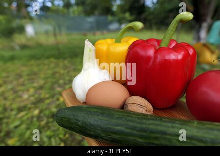 Verdure e ingredienti dell'orto appena raccolti, tra cui peperoni, cetrioli, aglio, uova e pomodoro, rappresenta un'alimentazione sana e h Foto Stock