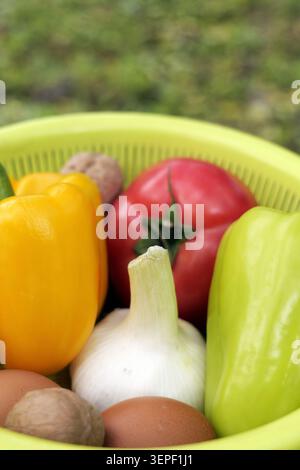 Verdure biologiche appena raccolte, tra cui peperoni, pomodoro, aglio, noci e uova disposte in un colino verde, per un'alimentazione sana Foto Stock