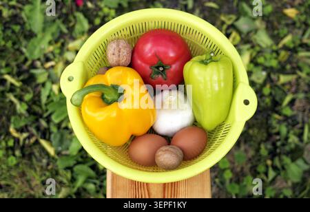 Verdure e ingredienti appena raccolti, tra cui peperoni, pomodoro, aglio, noci, e le uova, disposte in un colorante verde vibrante, che simboleggia org Foto Stock