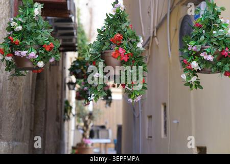 Vasi di fiori colorati appesi con fiori rossi e bianchi che decorano uno stretto vicolo nel centro storico di Tropea, Calabria. Foto Stock