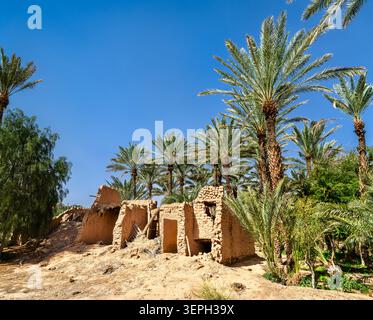 Tradizionali edifici in mattoni fangosi in rovina circondati da palme da datteri nell'area dell'oasi di Alula in Arabia Saudita. Foto Stock