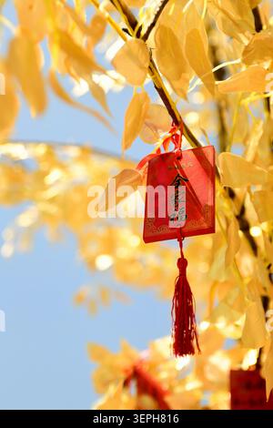 Scrittura cinese appesa al ramo dell'albero Foto Stock