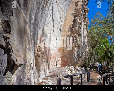 La Galleria d'arte di Carnarvon Gorge, Parco Nazionale di Carnarvon Foto Stock