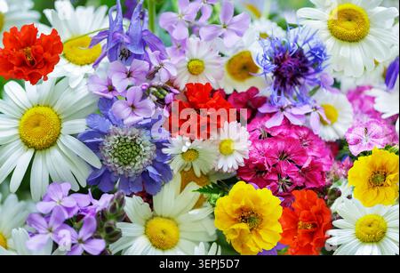 primo piano di un bouquet di fiori estivi colorati come sfondo, vista dall'alto Foto Stock