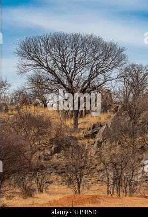 Formazioni rocciose nell'arido massiccio di Erongo, Namibia Foto Stock
