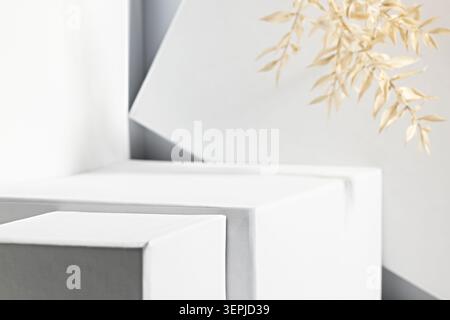 Forme geometriche bianche minimaliste con foglie dorate su moderno sfondo astratto Foto Stock